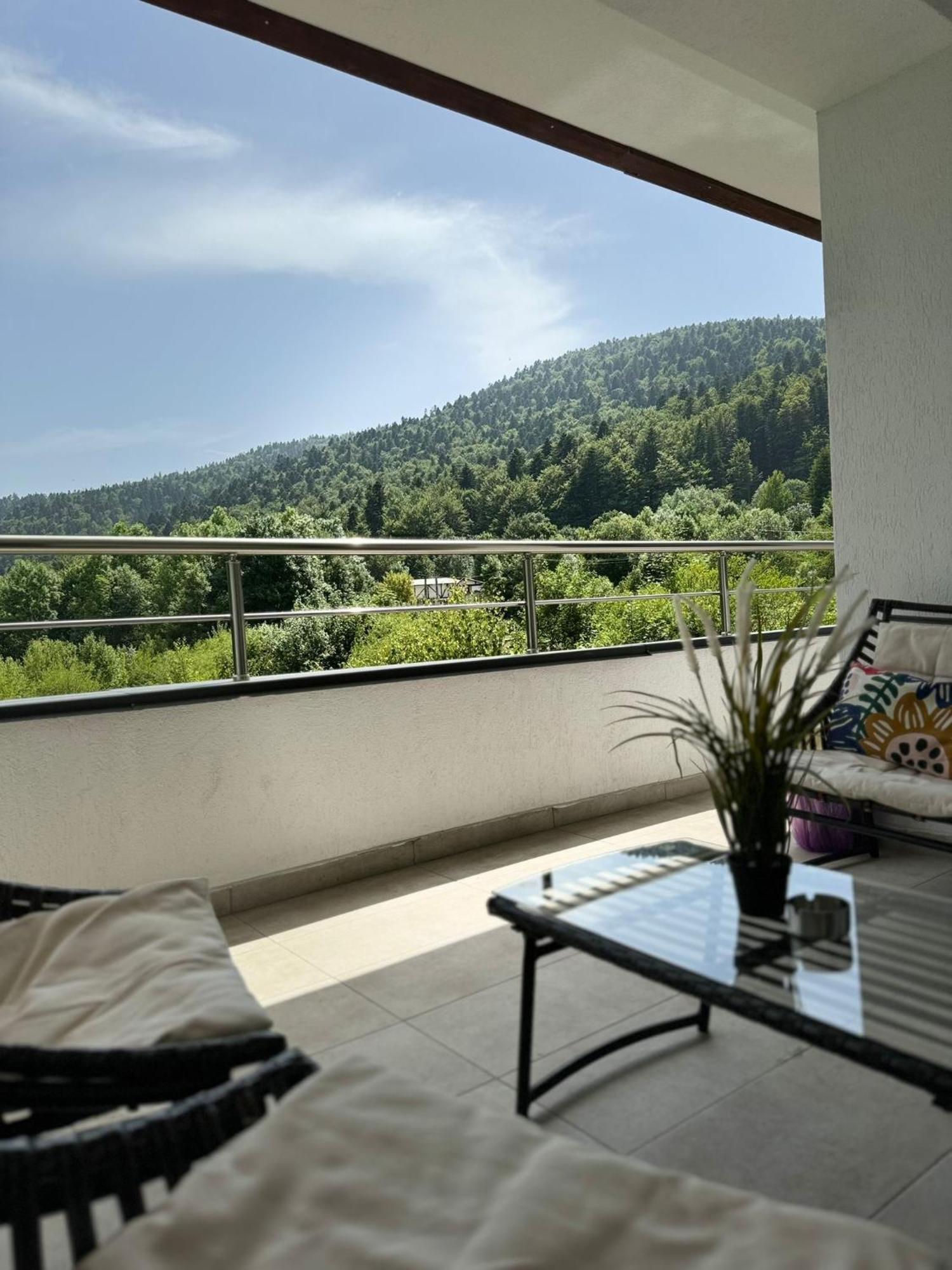 Panoramic Forest View - Balcony And Private Parking * Sinaia